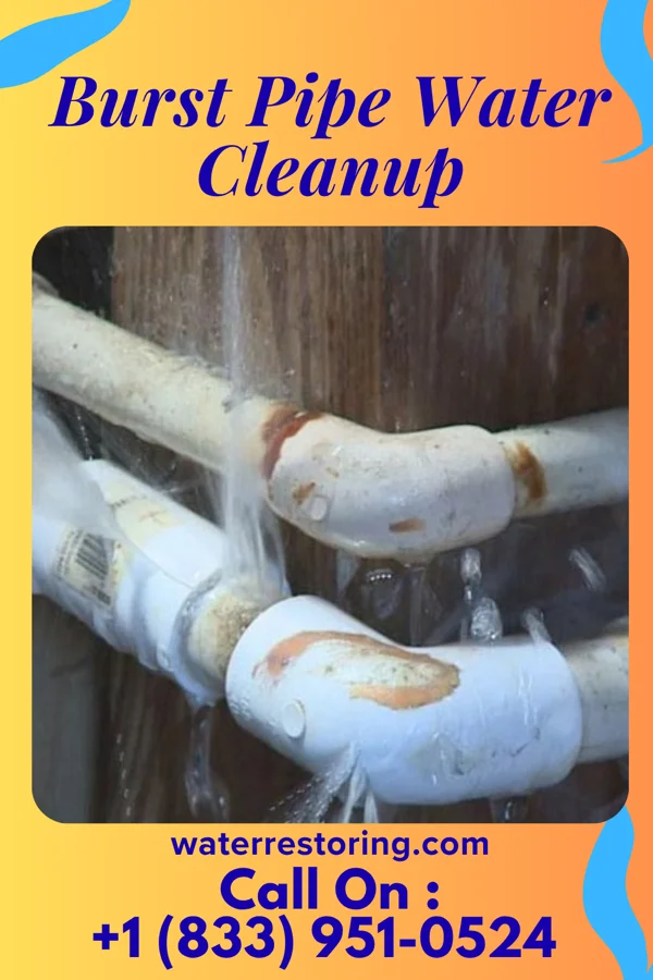 Burst Pipe Water Cleanup in Panama City Beach, FL