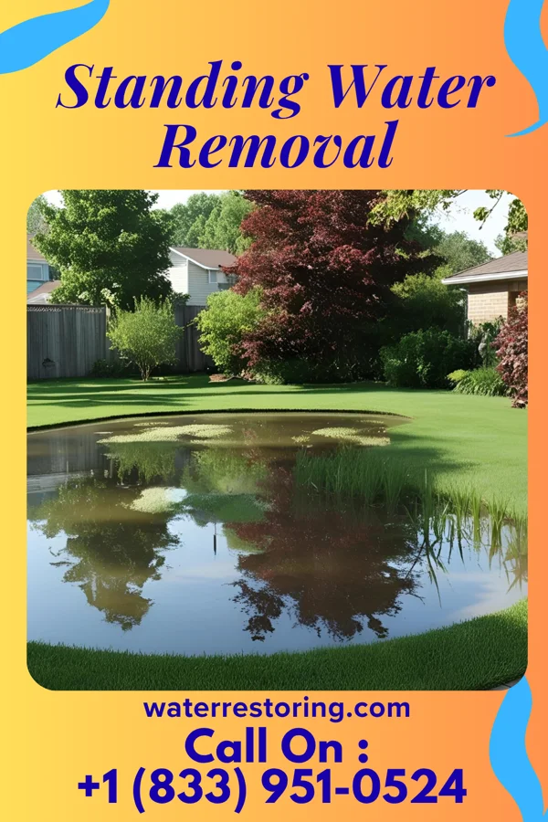 Standing Water Removal in Panama City Beach, FL